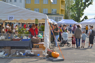 В Колодищах 2 сентября пройдет фестиваль сельского бизнеса "Тутэйшая гаспадарка"