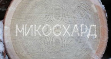 ООО "Микосхард"