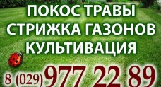 Благоустройство территории