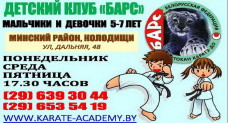 Детский клуб каратэ-до "Барс"