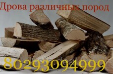 Дрова Колодищи
