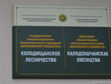 Колодищанское лесничество "Боровлянский спецлесхоз&hellip;