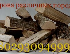 Дрова Колодищи