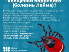 Обработка участка от клещей
