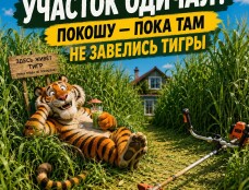 Покос травы и стрижка газона в Колодищах