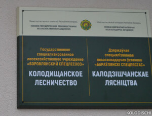 Колодищанское лесничество "Боровлянский спецлесхоз&hellip;