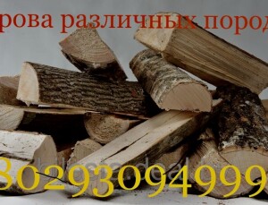 Дрова Колодищи