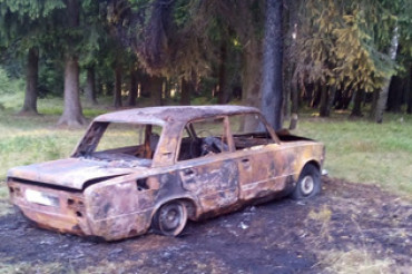 В лесу в районе ул. Войсковая ночью горел автомобиль, к счастью, пожар вовремя устранили