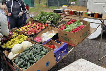 На ярмарке 31 мая в Колодищах будет представлена продукция из разных регионов Беларуси