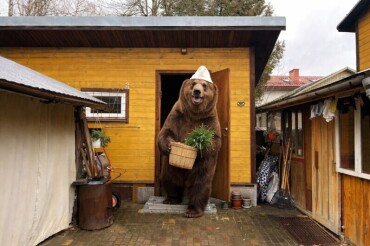 Как 1 апреля жителей местных садовых товариществ разыграли медведем, сгенерированным в нейросети