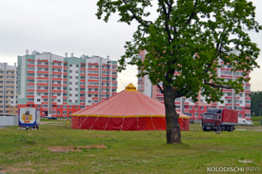 В Колодищи приехал цирк-шапито «Олимпия», выступления начнутся с 12 июня 