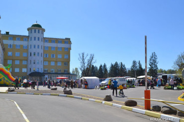 В Колодищах прошел фестиваль-ярмарка "Вяснадар". Фото
