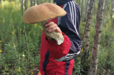 Появился претендент на самый большой гриб сезона в Колодищах
