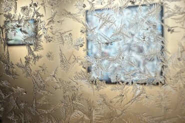 Узоры от природы: фото от подписчиков в последнюю неделю января