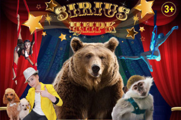 Цирк-шапито "Сириус" проведет представления в Колодищах с 19 по 22 июля