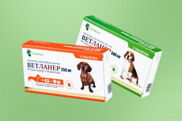 Хозяева собак хвалят новые белорусские таблетки от клещей: стоят дешевле, действуют не хуже