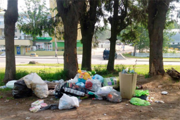 Колодищанский сельсовет тратит более 2 млрд в год на ликвидацию свалок, уборку мусора и покос травы