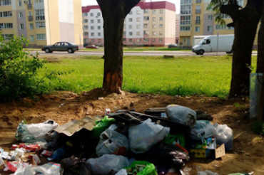 Сельсовет: ул. Тюленина единственная в поселке, где жители создают такие мусорные свалки