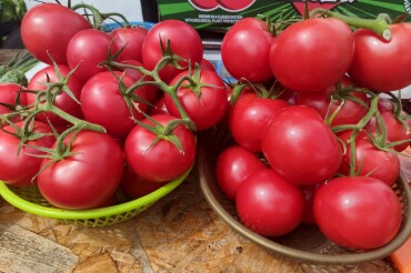 Что и почём продавали на ярмарке в Колодищах 13 июня