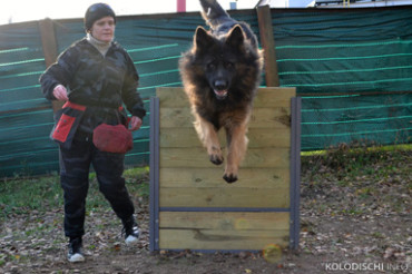 В Колодищах открылась дрессировочная площадка для занятий с собаками