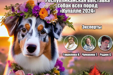 В Колодищах 6 июля пройдет Республиканская выставка собак всех пород