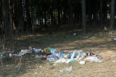 Как сельсовет смотрит на проблему мусора в Колодищах