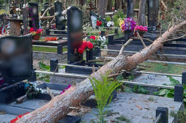 В Старине кладбище завалило деревьями во время сильного ветра