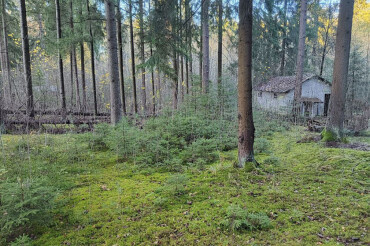 На аукцион выставили участок под гостинично-ресторанный комплекс в Юхновке