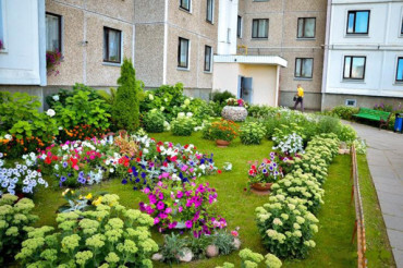 В Минском районе выберут самый красивый двор с цветочным оформлением