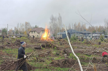 Более 100 человек приняли участие в субботнике на пострадавшей от урагана территории в Колодищах
