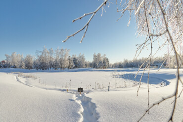 В Зелёной гавани открыли лыжню для катания: вход свободный для всех
