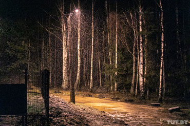 Житель Колодищ жалуется, что лес возле его дома стал местом для закладок