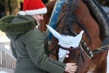 25 декабря на лесной поляне в Колодищах состоится конно-новогодний утренник для детей