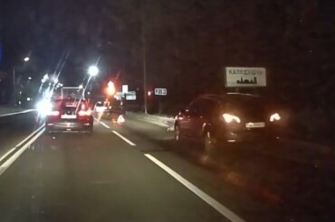 На въезде в Колодищи автомобиль сбил лося