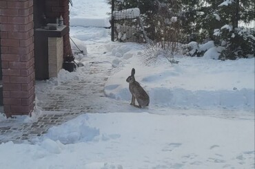 Подписчики Колодищи Инфо делятся зимними снимками местной природы