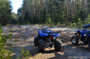 Лесхоз установил нарушение правил лесопользования в организации проката квадроциклов