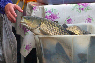Возле метро Уручье 15 и 16 декабря пройдет рыбная ярмарка