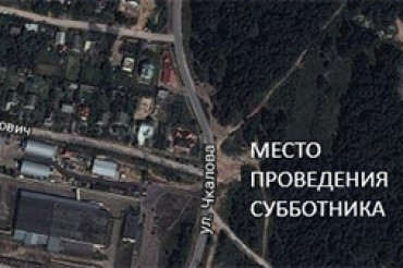Объявились еще желающие выйти на уборку леса в поселке: район улиц Чкалова - Молокович