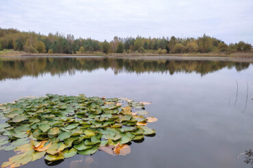 Симпатичное озеро среди полей и рядом с автодорогой. Фото водоема в Старине