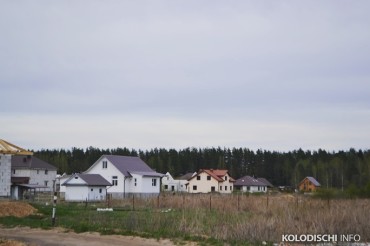 Четыре земельных участка на территории Колодищанского сельсовета выставлены на аукцион