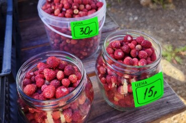 Земляника, черешня и лисички. Что еще продавали на ярмарке в Колодищах 20 июня