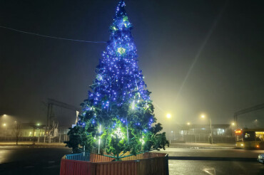 Возле Колодищанского сельисполкома установили новогоднюю ёлку