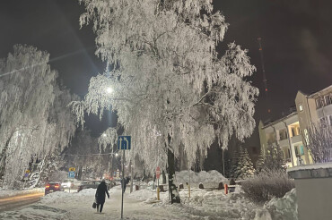 Фото от которых становится холодно: снимки от подписчиков в самые морозные дни
