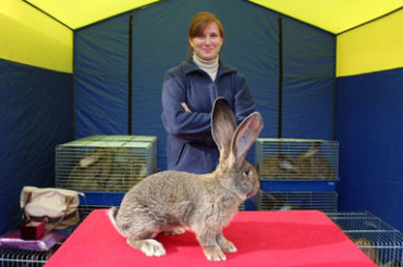 Завтра в Колодищах пройдет выставка-ярмарка кроликов и птицы