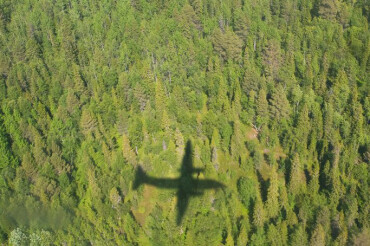 С 15 апреля над лесом Минского района будут разбрасывать вакцины от бешенства