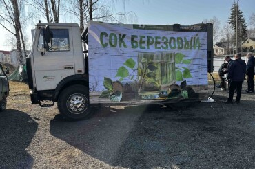 В Колодищах 30 марта Червенский лесхоз снова будет продавать берёзовый сок