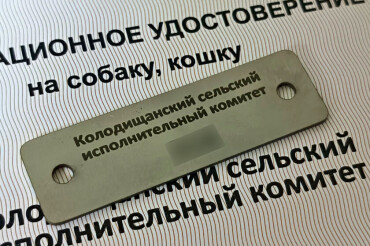 С начала года в Колодищах зарегистрировали 500 собак и кошек