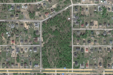 В Колодищах выявлены места произрастания краснокнижных растений