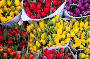 Хотите продавать цветы к 8 марта? Вот что нужно знать