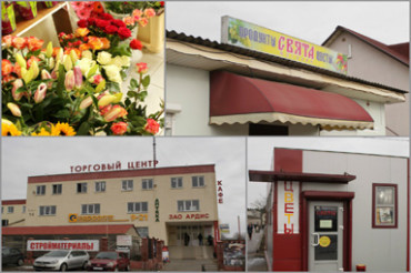 Где в Колодищах купить цветы к 8 марта? Фотоотчет из магазинов с цветами